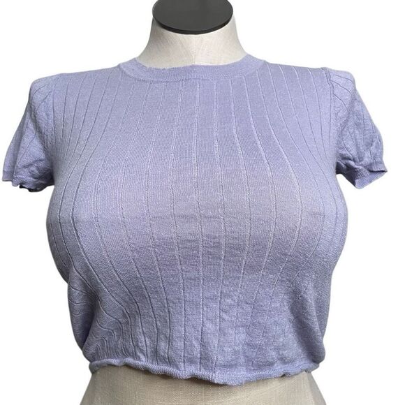 J. Crew Womens Cashmere Silk Blend Cropped TShirt S Lilac Twee Coquette Ribbed - Picture 1 of 6